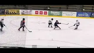Stick lift. GOAL. #hockey #hockeyplayers #skills #speed #sports #shorts #smooth #quick