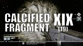 Destiny - Calcified Fragment: XIX (19)