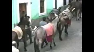 Procesion San Marcos Alboloduy 1989