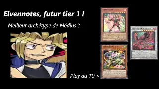 Elvennotes ‐ Meilleur arch&eacute;type Medius ? (surement) | Yu-Gi-Oh!