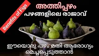 ഈയൊരു പഴം മതി ആരോഗ്യം മെച്ചപ്പെടുത്താം|Benefits of Figs| Healthy fruit
