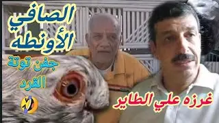 اقوي محاسنه لأتنين استراليات 🤣 #وصفي_العراقي #وليد_زكريا_الاستاذ