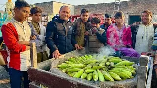 Cooking Corn Cob In Coal Ash | Best Way to Cook Corn | Coal Steam Corn