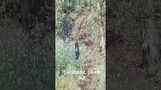 Slippery Slope Adventure: Close Call at the Bottom! 🏞️🚗