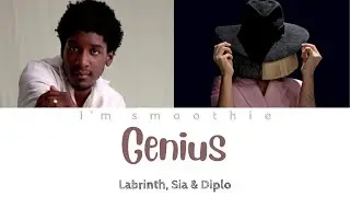 LSD - Genius (Colour-coded Lyrics)