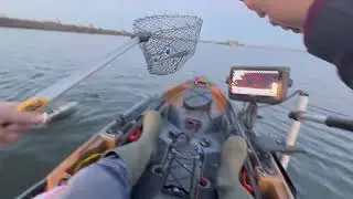 Striper fishing delta 6/8/2025