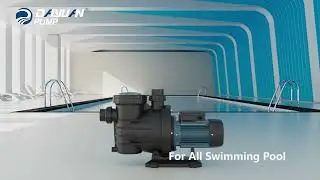 An Excellent Choice | DAYUAN Swimming Pool Pump-DSWm Series