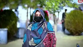 Entry Test 2025 The PEACE Abbottabad Campus #education #thepeacegroupschoolsandcolleges