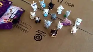 Blind Bag Opening Kitty in My Pocket Series 2!! Real kitties in the video too.