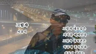 그림자