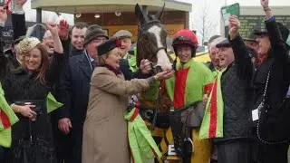Our Conor - The Horse Who Could Have Been Anything