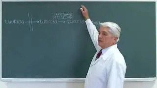 15:00-16:30 Интеграция обмена углеводов, липидов и белков  Нарушения метаболизма при сахарном диабет