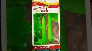 Seeds #youtube #youtube #viral #shorts