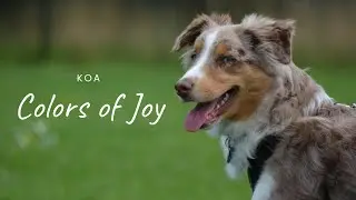 Colors of Joy Koa - Channel Trailer