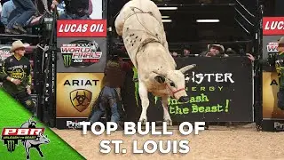 YETI Built For the Wild Bull of The Event: Air Support Earns Top Bull of St. Louis | 2020
