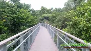 Walkthrough of Sentosa Nature Discovery