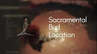 Sacramental Buds Location in Elden Ring