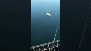 Крупноротый окунь клюет на поверхностные приманки прямо у берега!