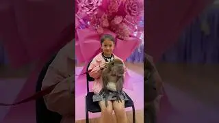 #цирк#выступление#сцена#шоу#circus#shorts#show#mychannel