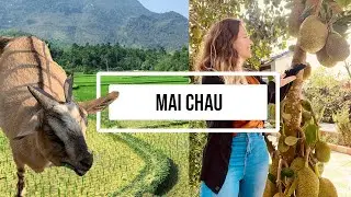 Mai Chau, Vietnam: Relaxing Day Trip from Hanoi (Ft. the World's Cutest Goats)
