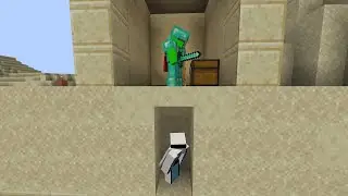 Minecraft Speedrunner VS Assassin