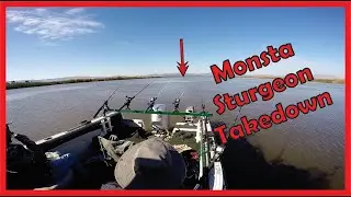 STURGEON Fishing In CA Delta | Monsta Takedowns!