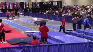 Noah Duran - All Events - Technical Sequence JO Nationals - JE level 10