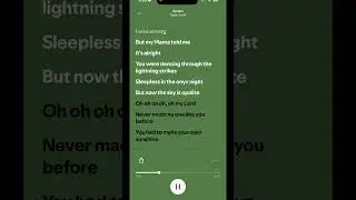 Opalite - Taylor Swift (Lyrics)