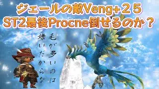 ジェールの敵Veng+２５,ST2最後Procne倒せるのか？新規でゲームするならFF11がおもしろい♪(FF11) ビスマルクサーバー
