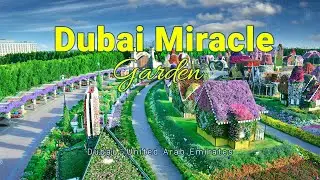 Dubai Miracle Garden | Tour at night