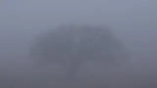 A foggy empty campground on Hulah Lake