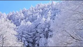 霧氷が輝く聖高原そして春が･4K