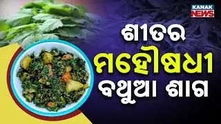 Special Report: Bathua Saag Benefits: Winter Superfood That Cures Many Diseases | Who Should Avoid?
