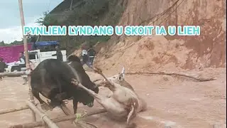 Skoit Umthli 🆚 Lieh Mawlynthoh (Lieh Ma Yes mynshwa) today at Mairang #iadawmasi #iaturmasi