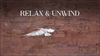 Relaxing Nature Landscapes | Peaceful Views & Calm Music