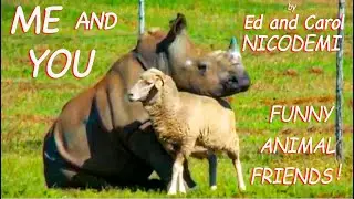ME AND YOU  by Ed and Carol Nicodemi