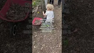 The importance of unstructured play 🌿 #outdoorplay #childledplay #forestschool #outdoorlearning