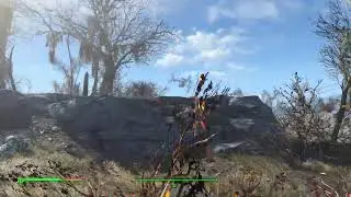 Fallout 4 🦆
