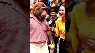 &ldquo;Reporter vs Monkey 🐵🔥 | Aaj Tak Wali Bhi Hass Padi!&rdquo; #bandarvlog