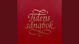 Ungdomens fans&aring;ng