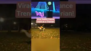 Вирусный танец кролика в образе терианца, практикующего квадробику