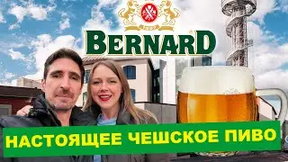 Пивоварня Bernard: это точно Чехия?! | Чешское пиво, которое нас поразило | Экскурсия по пивоварне