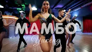 Mambo Weekend @ Salsa Plus