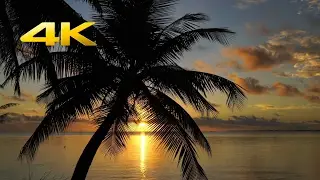 A Sunset Meditation and Relaxation Video  in 4k