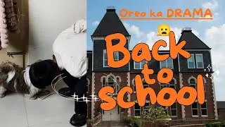 Oreo Ka DRAMA 😱 Back To School Ya Back To Masti? 😂🐶