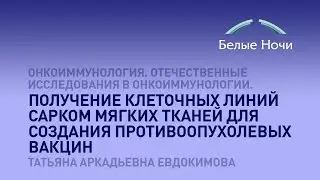 Получение клеточных линий сарком мягких тканей для создания противоопухолевых вакцин