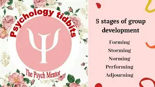 Stages of group development || Psychology tidbits