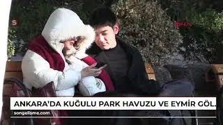 Ankara'da Kuğulu Park havuzu ve Eymir G&ouml;l&uuml; buz tuttu