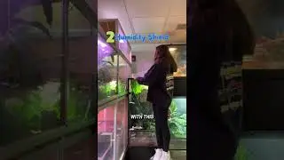 Need a humidity boost in your PVC Zen Habitat? 💧🌱