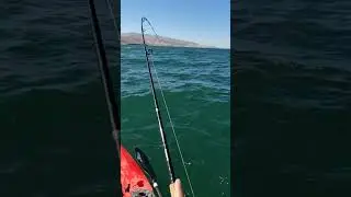 Trout Fishing Made Easy &ndash; Pyramid Lake!